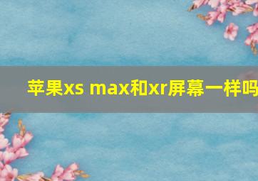 苹果xs max和xr屏幕一样吗